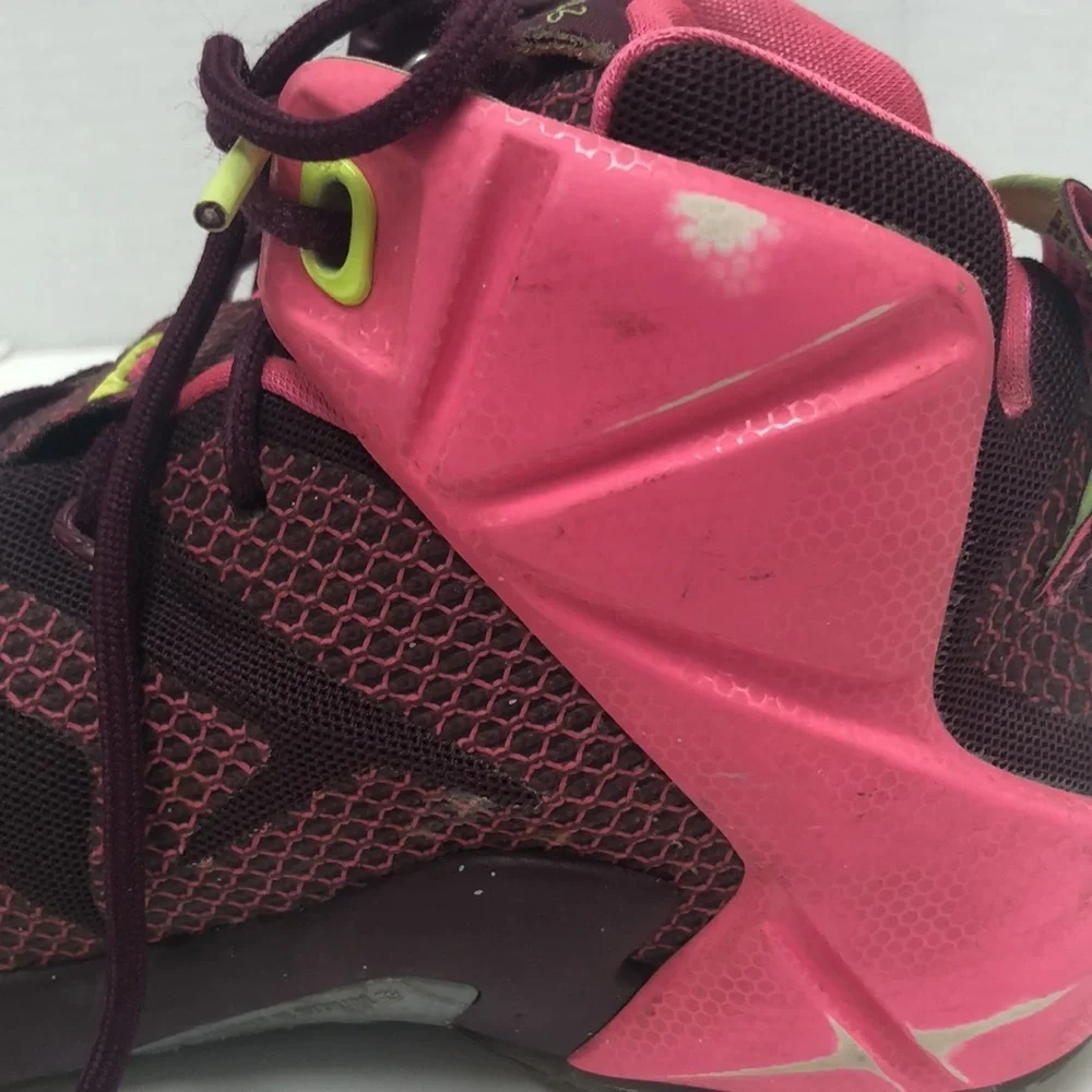 Nike LeBron James sneakers
